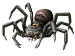 armogohma.jpg