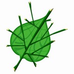 dekuleaf.jpg